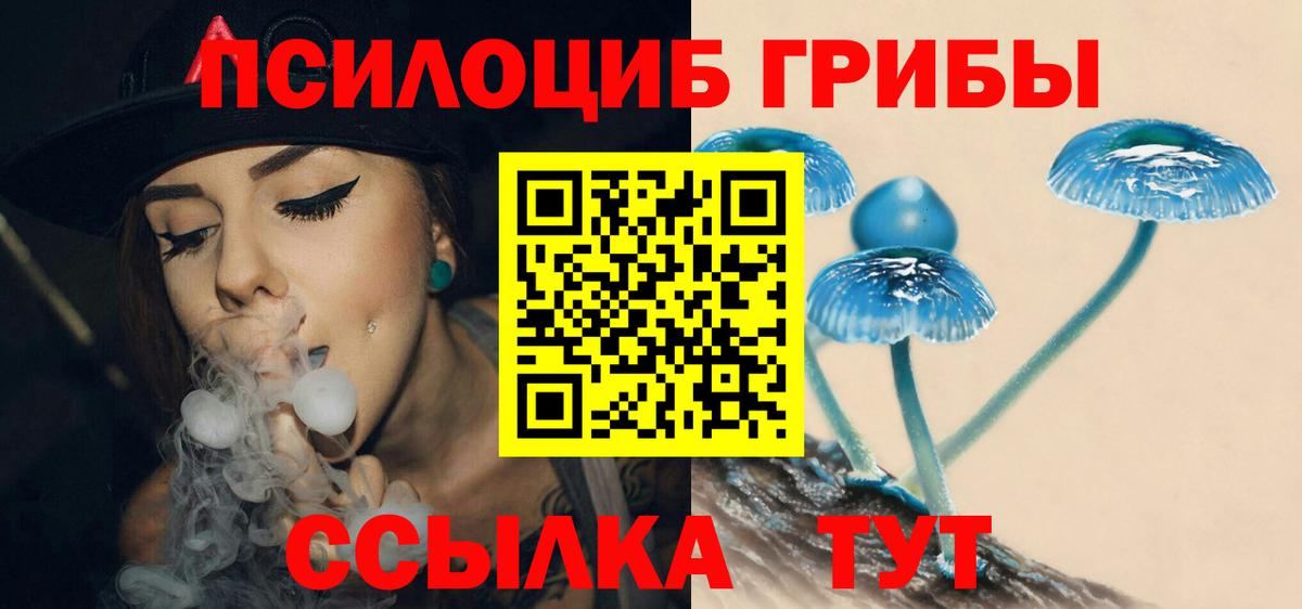 Псилоцибиновые грибы Psilocybine cubensis  Вход с VPN  Псилоцибиновые грибы мухоморы  Тихвин 